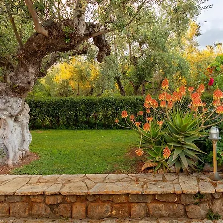 Olive Park Villa *