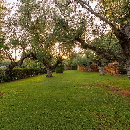 Olive Park